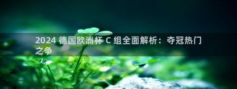 欧洲杯买足球软件|2024 德国欧洲杯 C 组全面解析：夺冠热门
之争