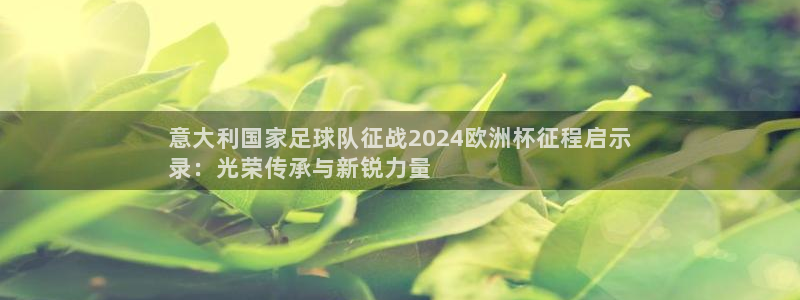 十大靠谱外围买球网站|意大利国家足球队征战2024欧洲杯征程启示
录：光荣传承与新锐力量