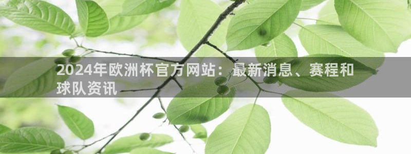 欧洲杯投注入口官网